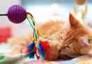 Igračke za mačke rade sami