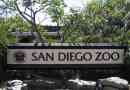 Zoo san diego: ark za osuđene životinje