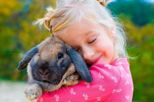 Kućni ljubimci - šta ima? Kućni ljubimci - šta ima?