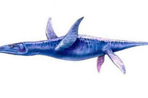 Karakteristike paleogenog razdoblja (prije 66-23 miliona godina) Karakteristike paleogenog razdoblja (prije 66-23 miliona godina)