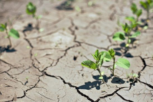 Ekološki problemi tla Ekološki problemi tla