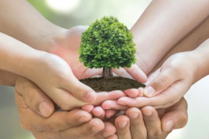 Kolekcija zaštite okoliša - šta nije u redu s njim?