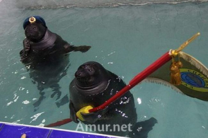 Kao i irkutsk neros čestitali su veteranima sa zanimakom pobjede Kao i irkutsk neros čestitali su veteranima sa zanimakom pobjede