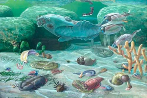 Kambrijski period ili kambrian (prije 542-485 milijuna godina) Kambrijski period ili kambrian (prije 542-485 milijuna godina)