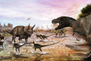 Kredni period ili kreda (prije 145-66 miliona godina) Kredni period ili kreda (prije 145-66 miliona godina)