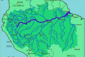 Koja se kopna nalazi najduža rijeka na planeti? Koja se kopna nalazi najduža rijeka na planeti?