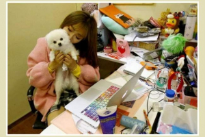 Raditi - sa kućnim ljubimcem! Novi čip u uredima šangaja