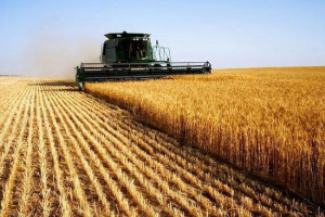 Zaštita životinjskog svijeta Zaštita životinjskog svijeta