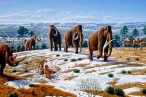 Opis perioda i era cenozoike Opis perioda i era cenozoike