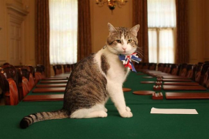 Bakiran pod repom: video s cameron cat-om dobija popularnost Bakiran pod repom: video s cameron cat-om dobija popularnost