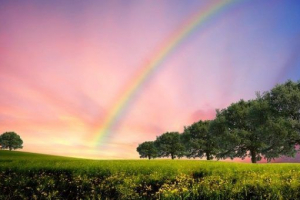 Zašto se pojavi rainbow? Zašto se pojavi rainbow?