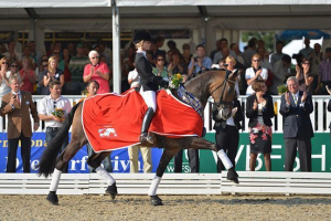 Ocjena najskupljih pasmina konja Ocjena najskupljih pasmina konja