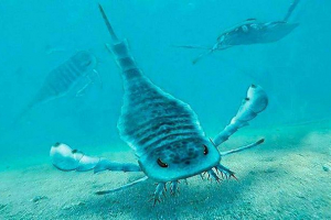 Sigurni period ili silicijum (444 - 419 miliona godina)