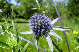 Sync chores Sync chores