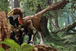 Troodon