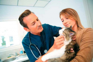 Na mački na vratu, nalet u obliku lopte - bilo da je opasno? Na mački na vratu, nalet u obliku lopte - bilo da je opasno?