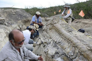 Naučnici iz cijelog svijeta traže ostatke dinosaura na vologdi