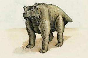 Naučnici su saznali da su neki dinosaurusi otišli na četiri noge Naučnici su saznali da su neki dinosaurusi otišli na četiri noge