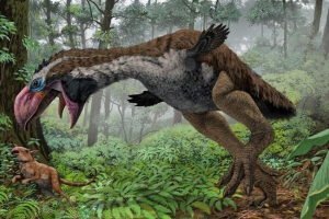 U arktiku 53 miliona. Živene ptice