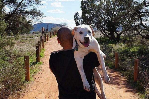 Sveameričko putovanje za umirući psa Sveameričko putovanje za umirući psa